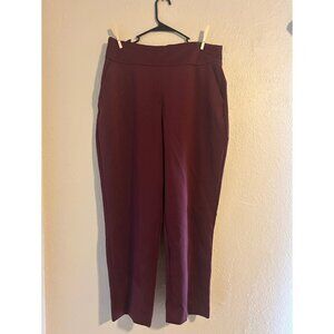 NWT - Express Super High Rise Supersoft Double Knit Nylon Ankle Pants